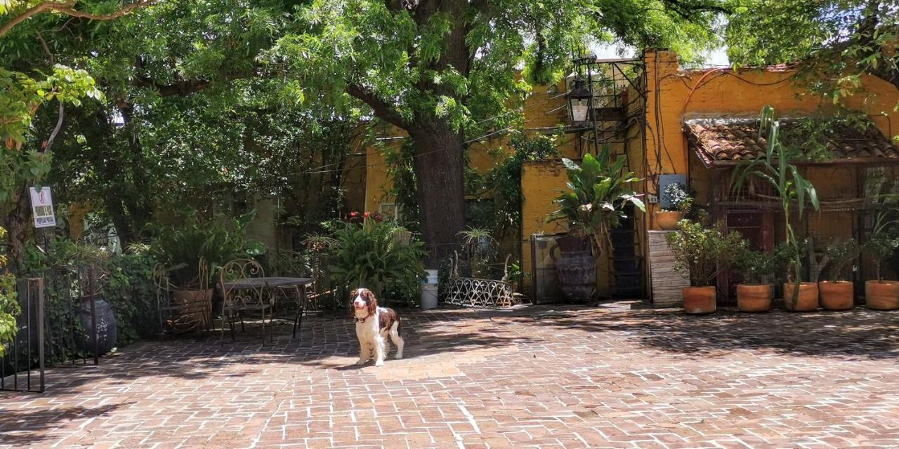 Hotel Sautto San Miguel de Allende Dış mekan fotoğraf