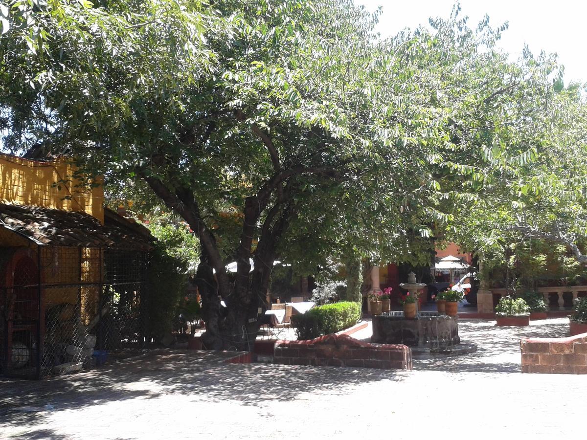 Hotel Sautto San Miguel de Allende Dış mekan fotoğraf